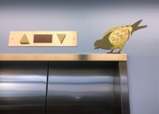 Elevator Pigeon